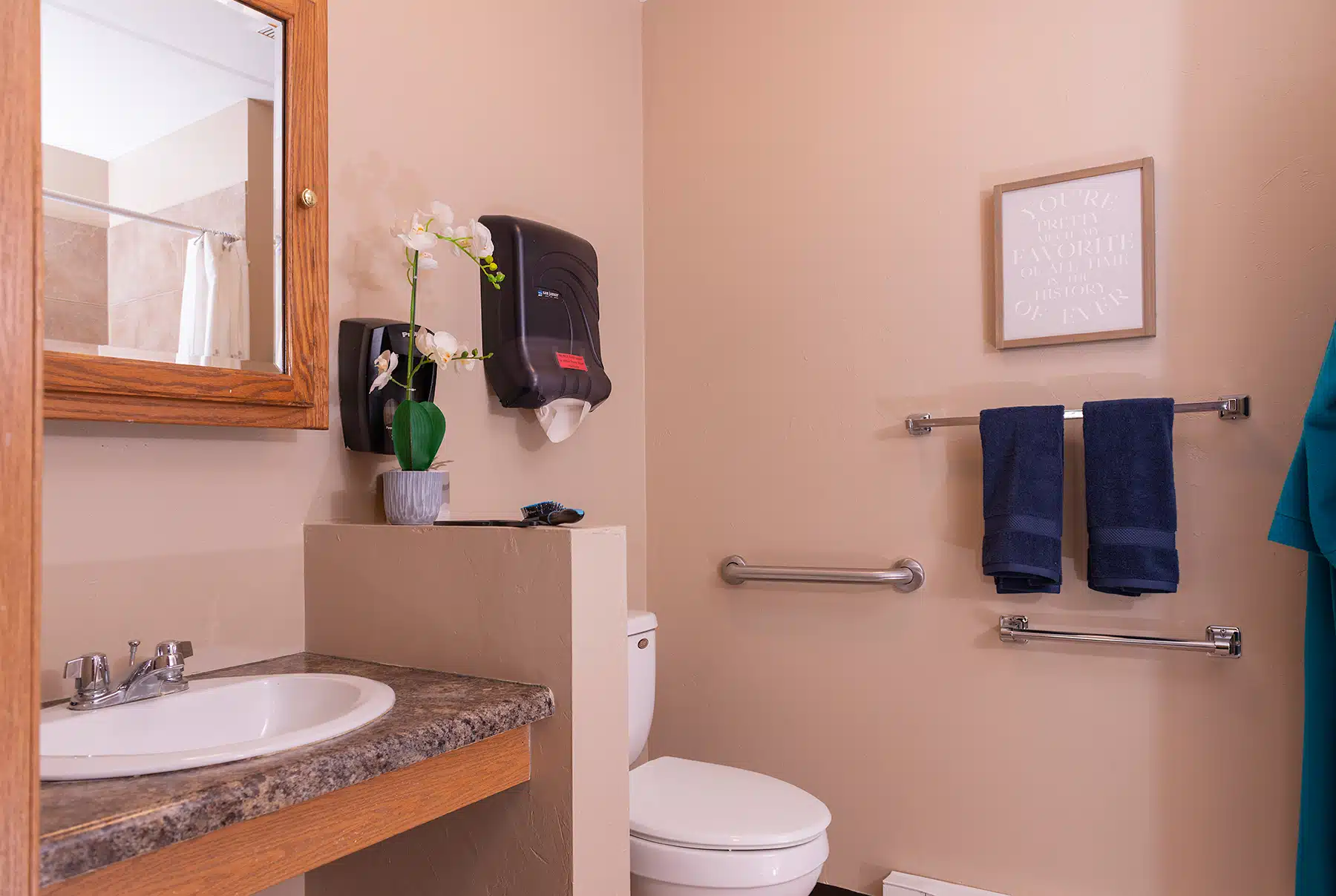 Marla Vista Assisted Living Model Apartment Bathroom